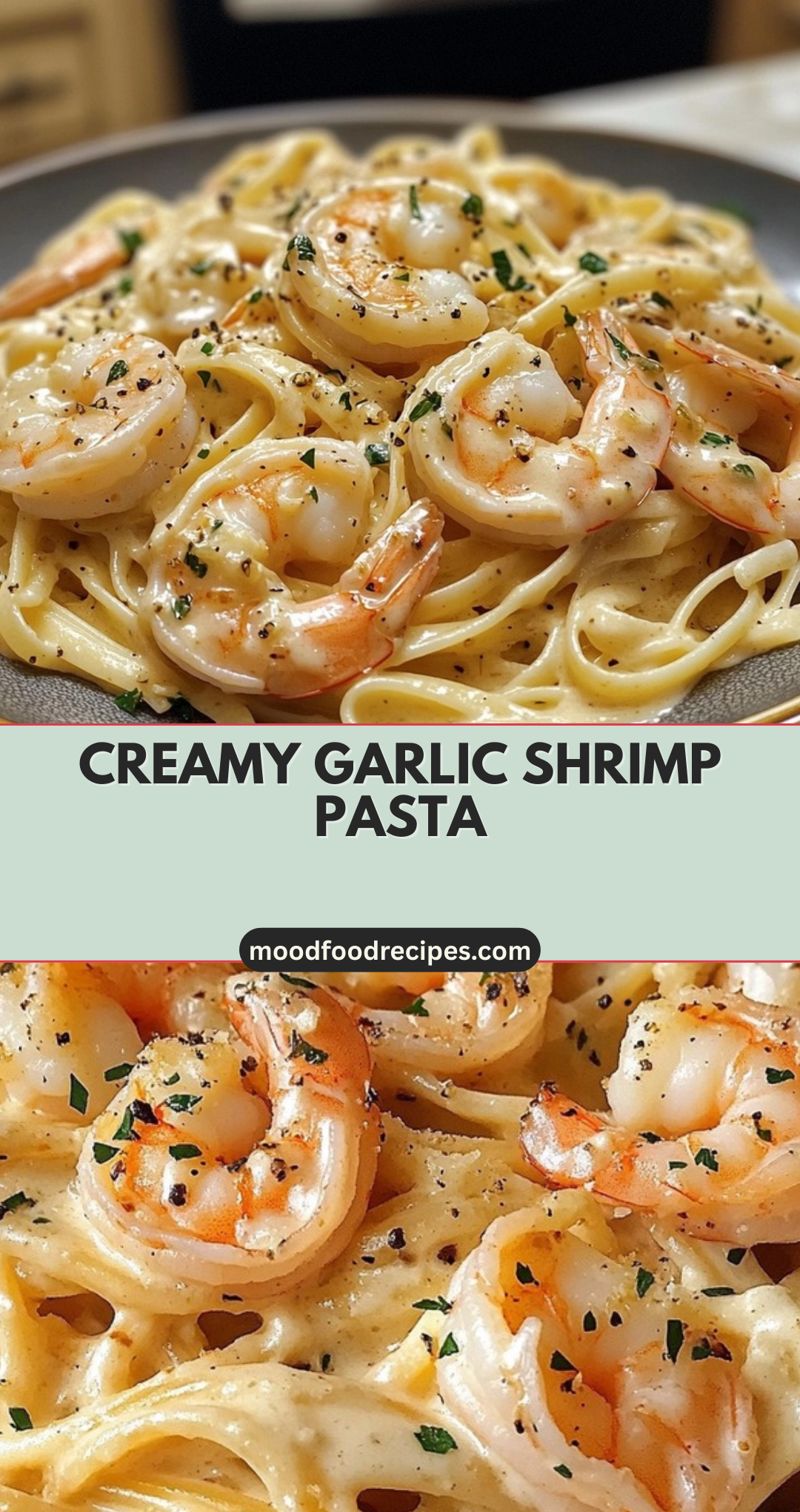 Creamy Garlic Shrimp Pasta