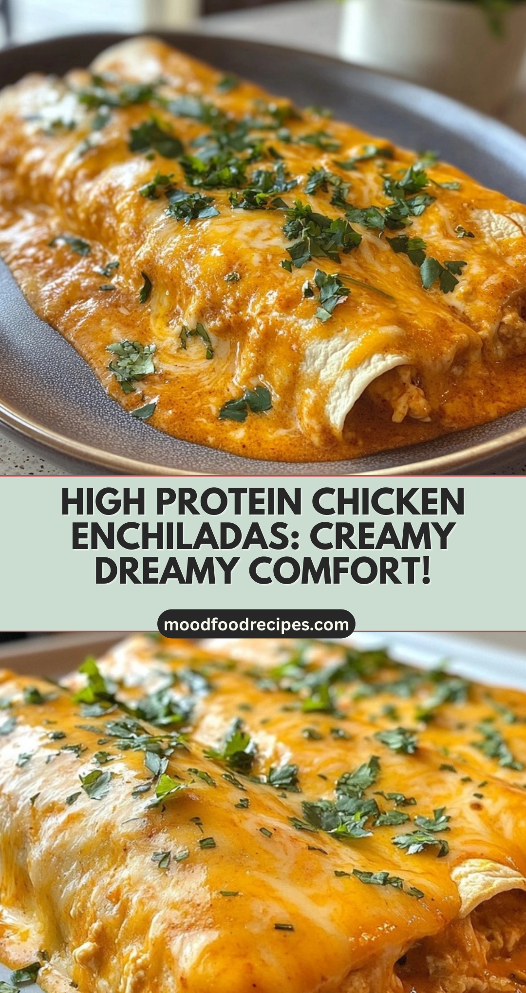 High Protein Chicken Enchiladas: Creamy Dreamy Comfort!