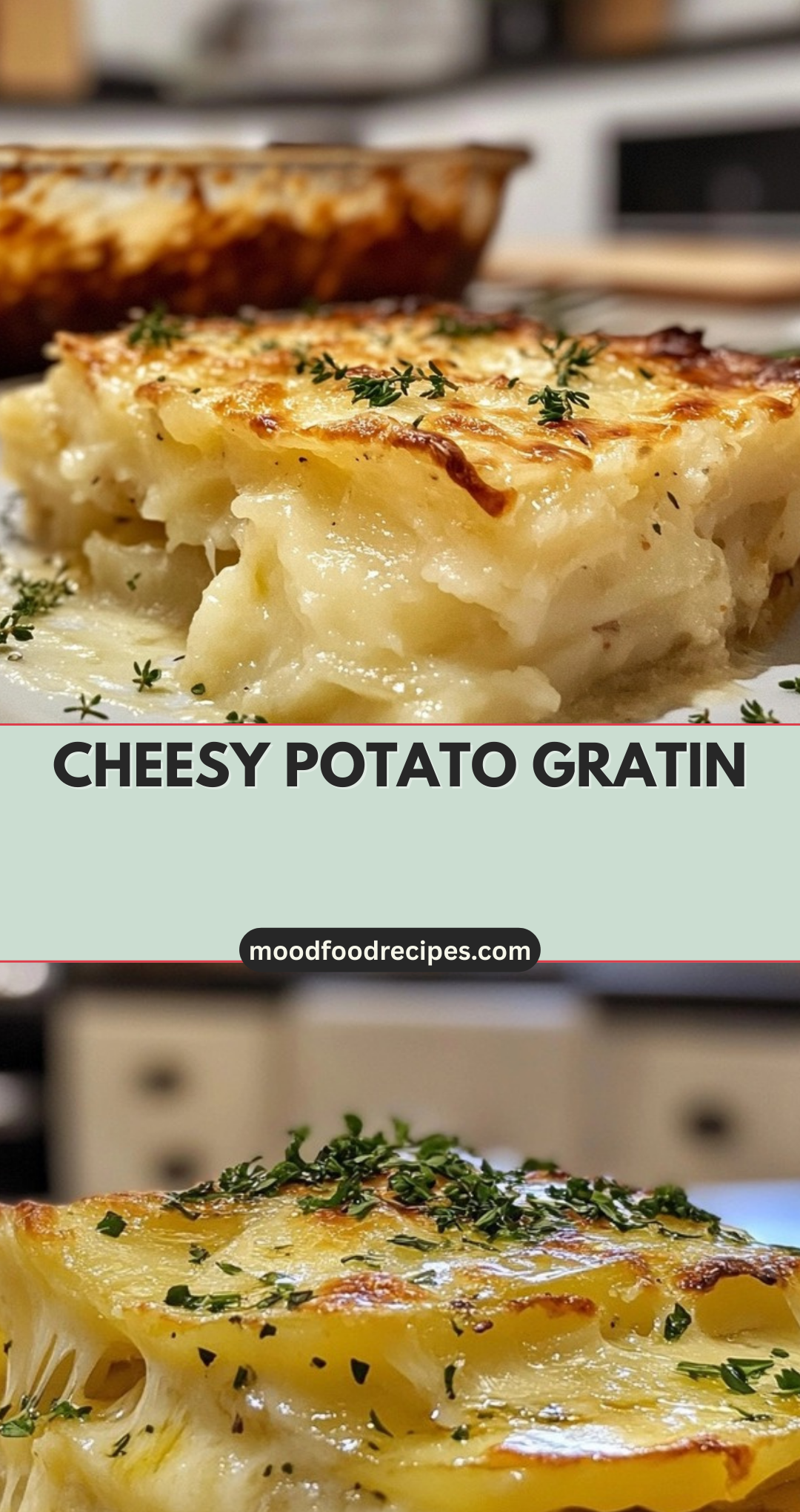 Cheesy Potato Gratin