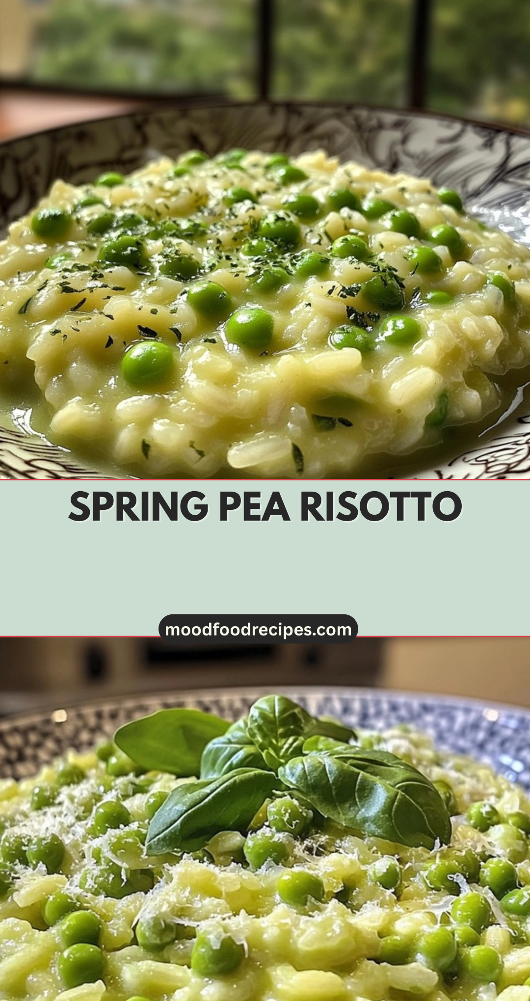 Spring Pea Risotto