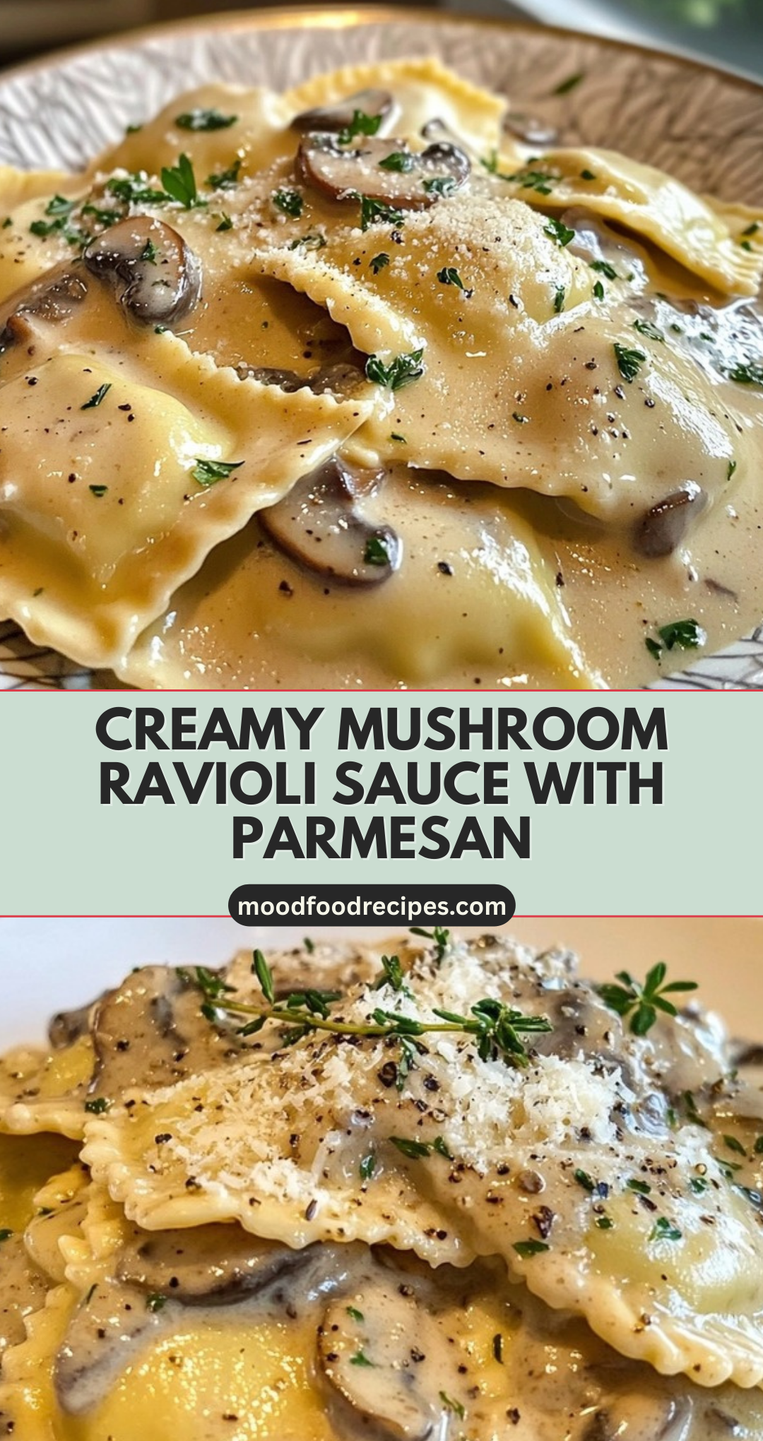 Creamy Mushroom Ravioli Sauce with Parmesan
