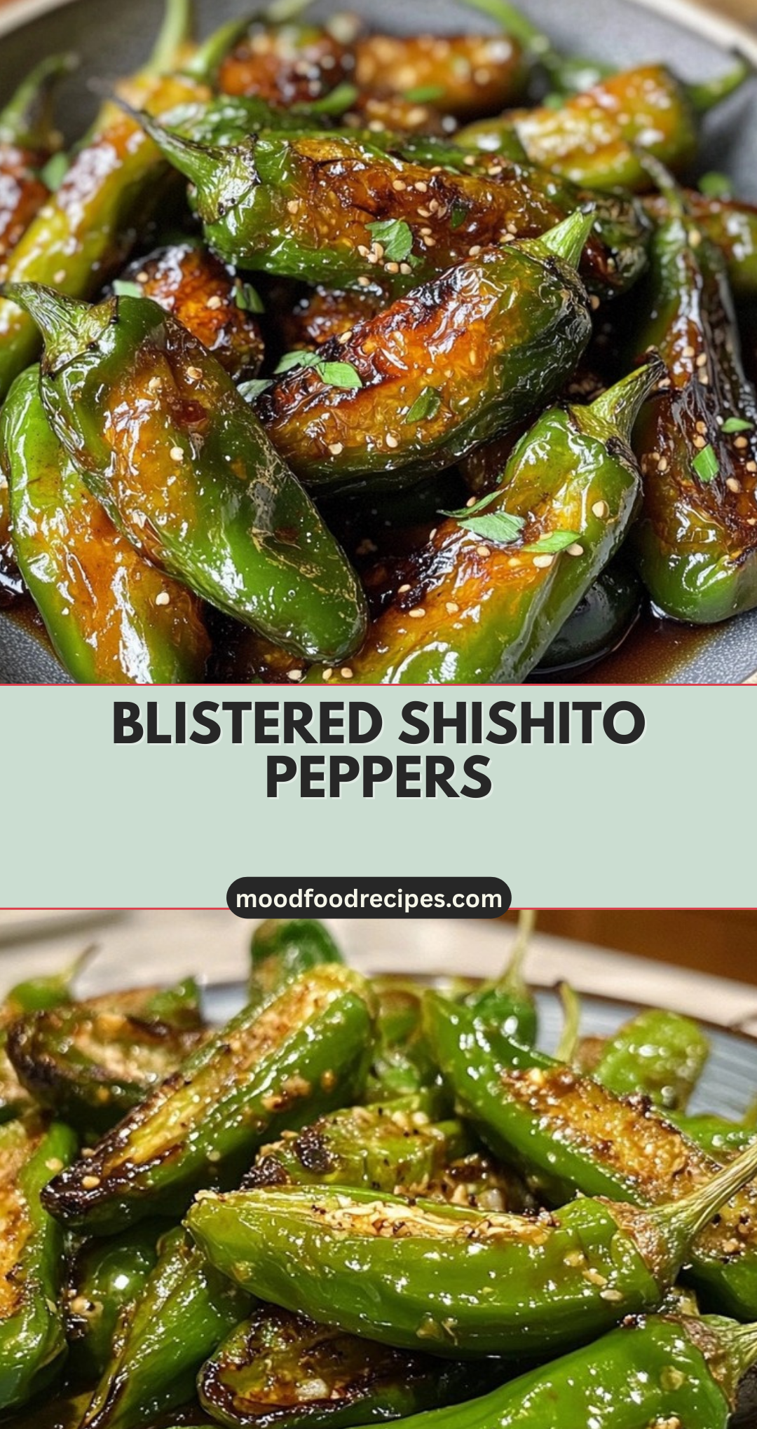 Blistered Shishito Peppers