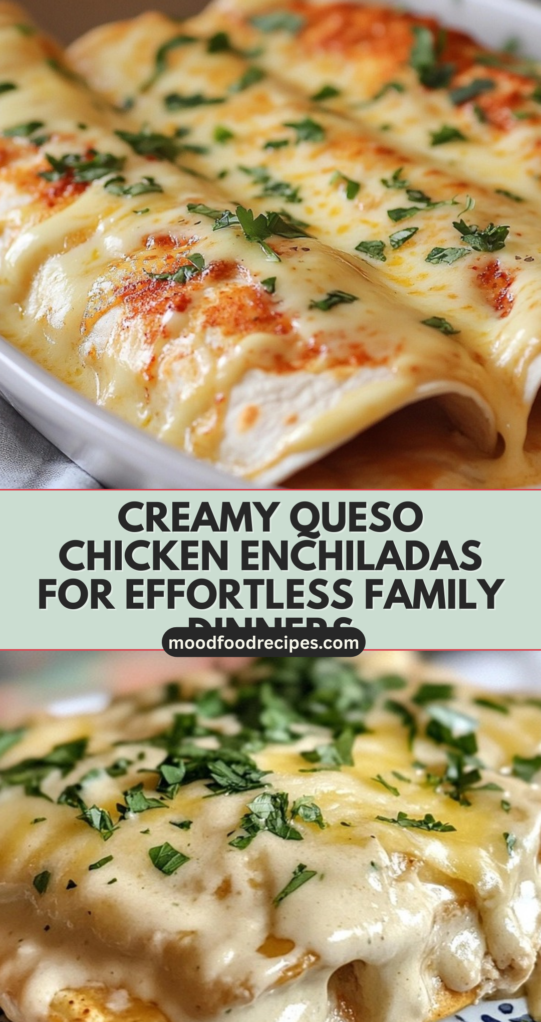 Creamy Queso Chicken Enchiladas for Effortless Family Dinners