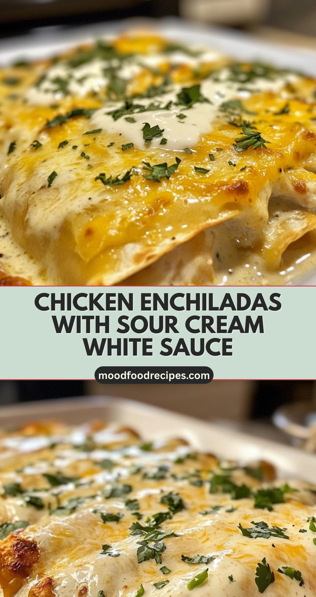 CHICKEN ENCHILADAS WITH SOUR CREAM WHITE SAUCE
