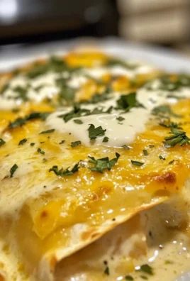 CHICKEN ENCHILADAS WITH SOUR CREAM WHITE SAUCE