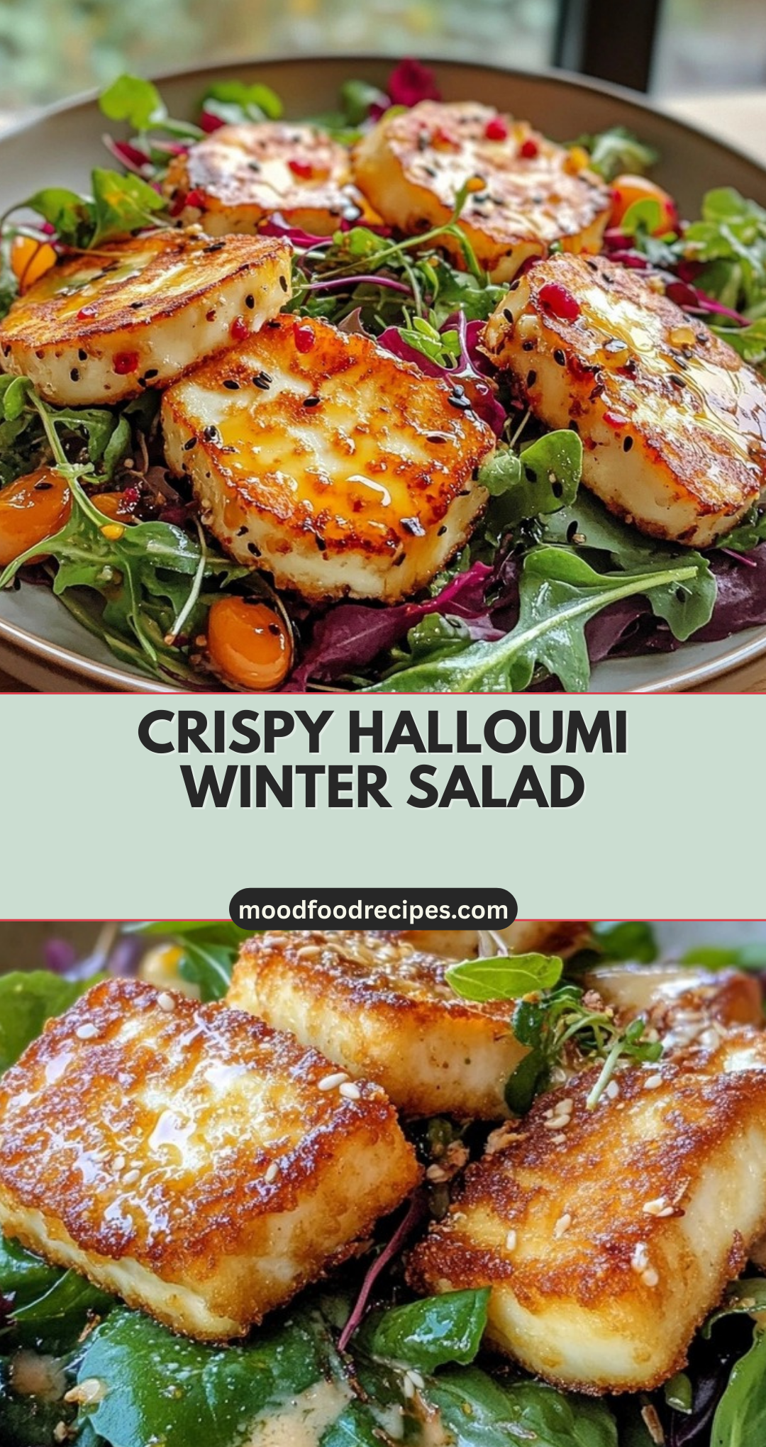 Crispy Halloumi Winter Salad